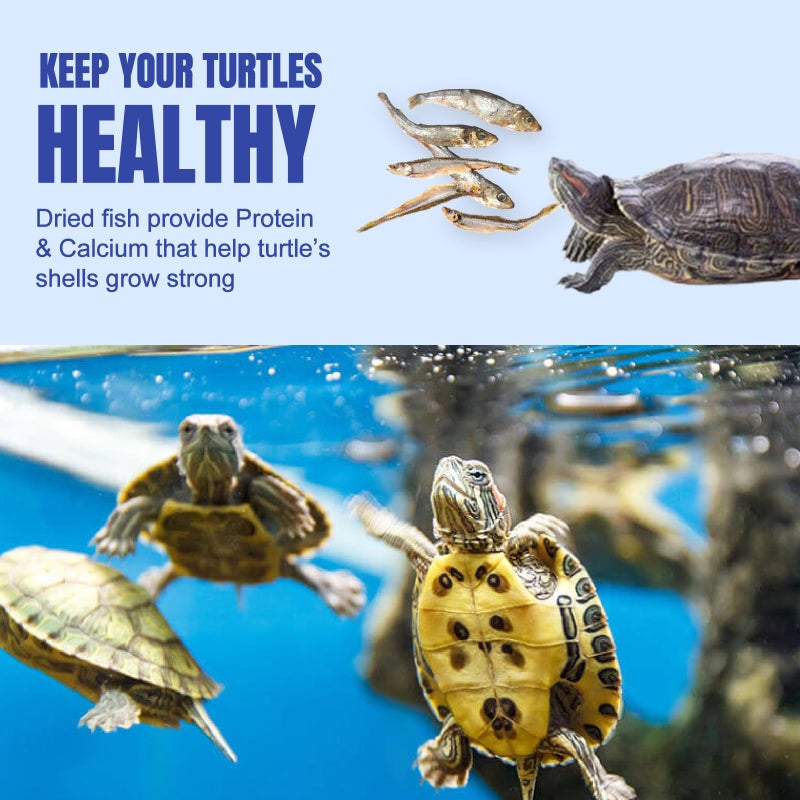 Amzey 2.3 oz Dried River Fish - Natural Food for Turtles, Terrapins, Reptiles and Large Tropical Fish - Image 4